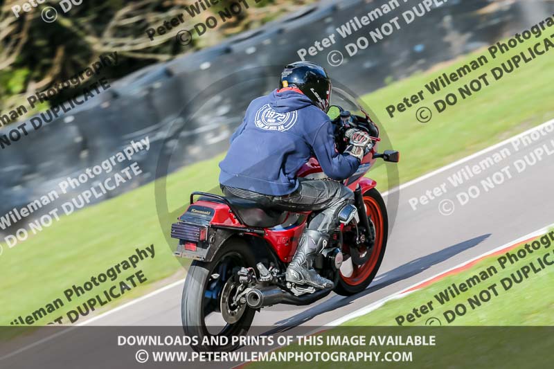 Oulton Park 20th March 2020;PJ Motorsport Photography 2020;anglesey;brands hatch;cadwell park;croft;donington park;enduro digital images;event digital images;eventdigitalimages;mallory;no limits;oulton park;peter wileman photography;racing digital images;silverstone;snetterton;trackday digital images;trackday photos;vmcc banbury run;welsh 2 day enduro